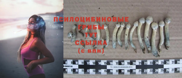 спиды Абинск