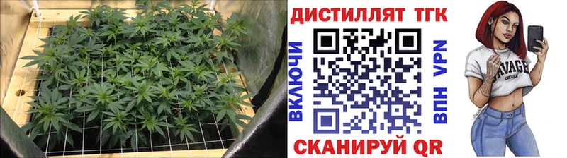 цена наркотик  Елизаветинская  OMG   ТГК вейп 