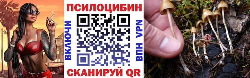 как найти закладки  Елизаветинская  Галлюциногенные грибы ЛСД 